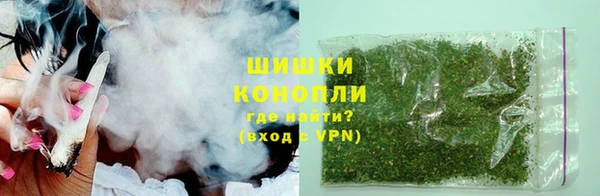 крисы Бородино