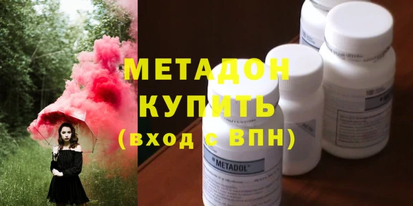 крисы Бородино