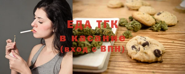 крисы Бородино