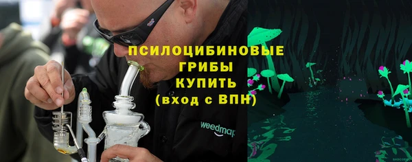 spice Бугульма