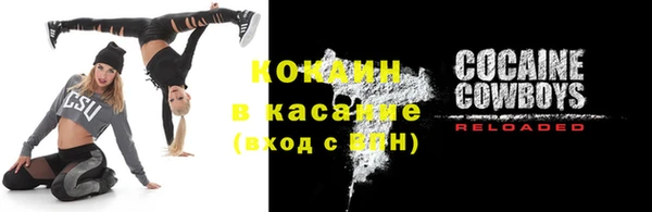 крисы Бородино