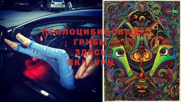 spice Бугульма
