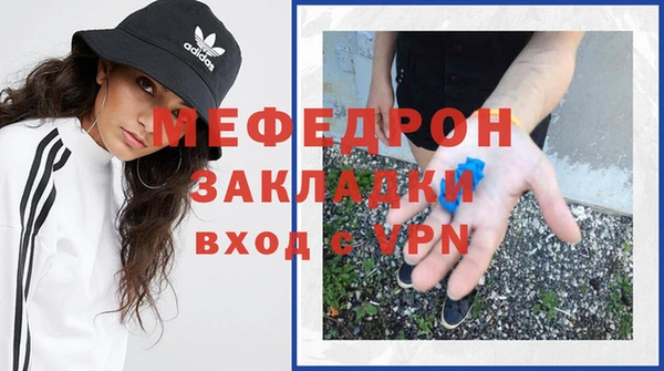 крисы Бородино