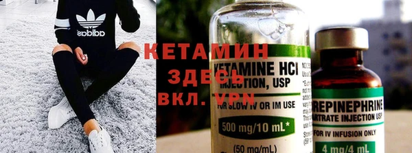 крисы Бородино
