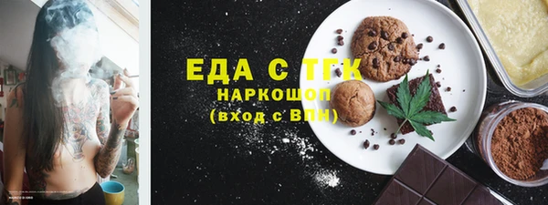 крисы Бородино