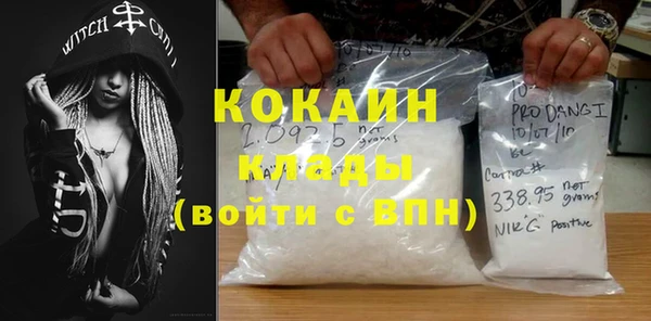 крисы Бородино