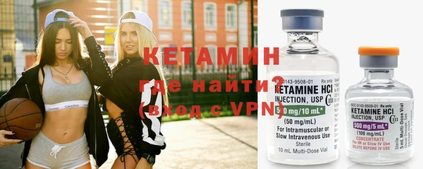 крисы Бородино