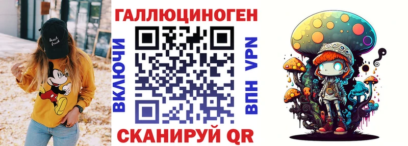 OMG как войти  Череповец  Галлюциногенные грибы Psilocybe 